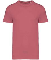 Image for NS305 ARS 5XL